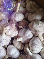 овощи и фрукты