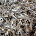 Dried Anchovies