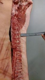 Агрофирма Ариант — свинина охлажденная в полутушах