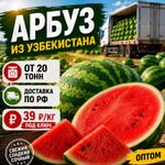 Купить арбуз оптом из Узбекистана от 20 тонн с доставкой по России — свежий урожай 2026 года