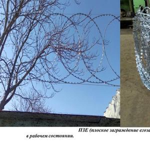 Плоское заграждение представляет собой плоскую, спиралевидную конструкцию из армированной колючей ленты, соседние витки которой скрепляются между собой при помощи скоб из оцинкованной стали. При этом ЗАКЛ плоское спиральное заграждение                             накручивается витками диаметром  400 мм,...900 мм, со ступенчатым смещением их центров вдоль прямой линии на величину равную 1/3 или ½ диаметра витка, с последующим скреплением последних в местах пересечений между собой стальными оцинкованными скобами. Заградительные свойства плоского заграждения Егоза (ПЗЕ) весьма высоки, хотя и несколько ниже, чем у объемного охранного ограждения. Плоское заграждение ПЗЕ способно сохранять свои заградительные свойства после одного и даже нескольких перекусываний в разных местах.