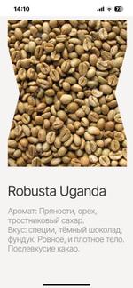 Скрин 12 Робуста Уганда