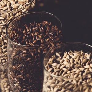 собственная сырьевая база, собираем на полях засеянных ячменем в экологическом месте Черноземья. Премиальные сорта солода!