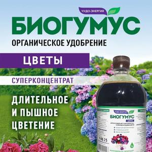 Органическое Удобрение Биогумус для Цветов и Цветущих Растений
Подарите своим комнатным, тепличным и садовым растениям здоровье и красоту с нашим жидким биогумусом! Это универсальное удобрение идеально подходит для всех видов цветов, включая гортензию, розу, петунию, орхидею и ароидные, фиалку, спатифиллум, декабрист, эустому, герань, пеларгонию, и даже экзотические каланхоэ, клематисы, антуриум, алоказию и адениумы.
Наш комплексный концентрат содержит все необходимые микроэлементы и аминокислоты, которые способствуют активному росту и красивому цветению растений и цветущих кустарников как открытого, так и закрытого грунта. Используйте его как основную подкормку, чтобы ваши любимцы радовали вас яркими красками в любое время года — будь то осень, весна или лето. Используйте наш био гумус как при посадке, так и в ежедневном уходе.
Каждый литр нашего органического экоудобрения обогащает землю полезными веществами, что особенно важно для рассады и декоративных растений. Оно подходит как для балконных, так и для домашних цветов. Заботьтесь о своих растениях — от кактусов до пионов, от цитрусовых до луковичных тюльпанов. С нами ваш цветочный сад на подоконнике будет радовать вас круглый год!