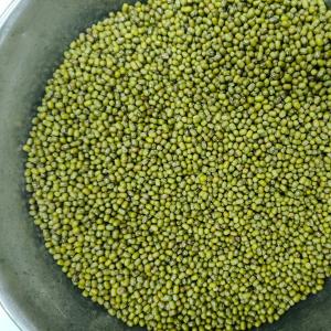 зеленый лунг целый