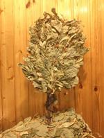 Липовый веник