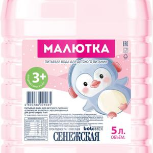 Вода Сенежская 5 л негаз.