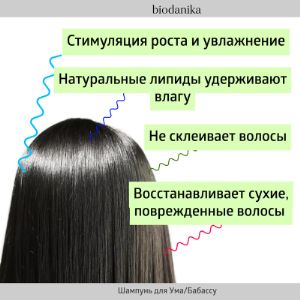 Шампунь для волос с маслом бабассу Biodanika - не склеивает волосы