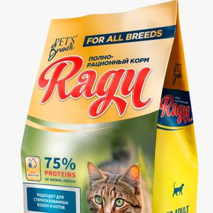 Премиум сегмент для котов