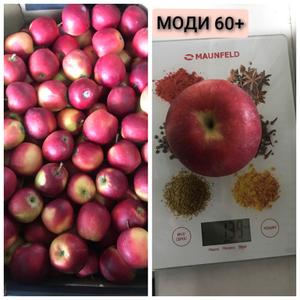 Яблоки Моди 60+ (средний вес яблока 139гр)
