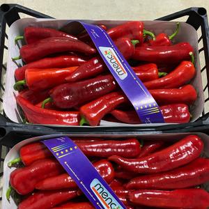 Перец Ромиро — это премиальный сорт сладкого перца, который отличается вытянутой формой, насыщенным красным цветом и ярким вкусом.