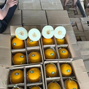 Золотая дыня от Китая , 4 штуки в каждой каробке