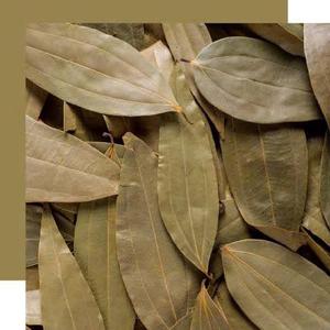 листья корицы