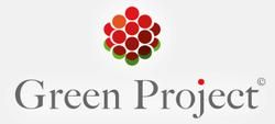 Green project. Грин Проджект. Сплиттер Грин Проджект. ООО 