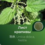 Крапивы листьев экстракт сухой https://altai-extracts.ru/nettles