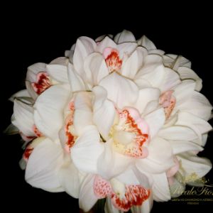 Орхидея Цимбидиум, джанбу с латексом, Natural touch, влажные на ощупь лепестки