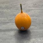 Гранадилла 21