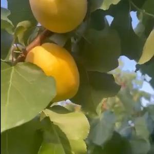 Документы есть, если надо все сделаем!!