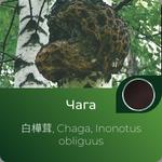 Чаги экстракт сухой https://altai-extracts.ru/chaga