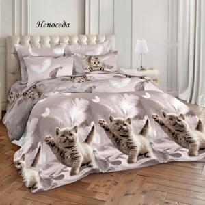 🛒 Для заказа написать нам в лс или WhatsApp +

Размеры в наличии/ Цена розница:
Полутораспальный - 2300 рублей.
Двухспальный - 2550 рублей.
Евро - 2700 рублей.
Дуэт (семейный) - 3050 рублей.

Торговая марка: День и Ночь
Материал: Поплин
Состав: Хлопок 100%
Плотность ткани: 115 гр./м.кв