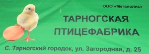 Магазин Мастер Тарногский Городок Каталог Товаров