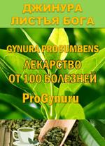 Фиточай Джинура Прокумбенс Гинура. Сушёный лист.