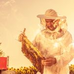 продам натуральный мед разнотравье оптом 250 рублей за кг