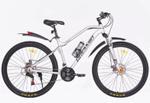 Велосипед Dreamid 29D-255