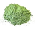 Порошок из молодых побегов ячменя (Barley Grass Powder), оптом.