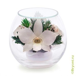 Композиция из орхидей BMIM. Данная композиция состоит из натуральных орхидей, высушенных по специальной технологии, которая даёт возможность цветам сохранять свой свежий вид на несколько лет, в среднем 5. 