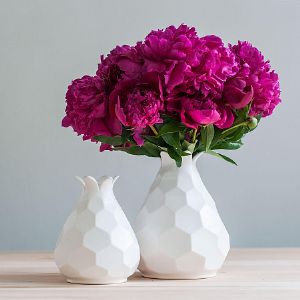 Белая ваза «Astra White» - универсальный декор для современного дома. Она нейтральна: может быть и базовым, фоновым элементом в цветных интерьерах, и акцентом в минимализме, не привязана к конкретному стилю, легко вписываясь как в лофт, так и в скандинавскую эстетику. Поверхность из керамики вручную покрыта рельефом в виде сот и глазирована, благодаря чему свет выделяет ту или иную плоскость. Поставьте в вазу сочную зелень или яркие цветы – белый цвет примет любую палитру.
