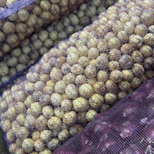 Картофель Беби мытый