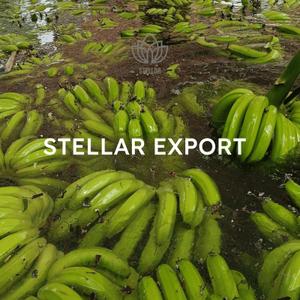 Cavendish Banana origin Vietnam
Бананы сорта Кавендиш родом из Вьетнама