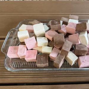 Сублимированный мороженое кубики