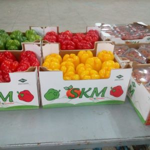 перец Калифорния