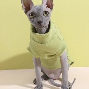 Одежда для лысых кошек Сфинкс