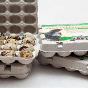 Яйцо перепелиное:   5 руб/шт
Опт до 40 000 шт яиц – 4,3 руб/шт
Опт от 40 000 шт яиц – 4,1 руб/шт
Фасовка: 20 шт в гофролотке.
Срок годности: от 0℃ до 8℃  - не более 60 суток