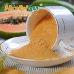 Gluten Free Natural Papaya Powder