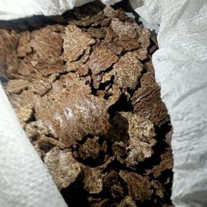 Жмых расторопши в наличии