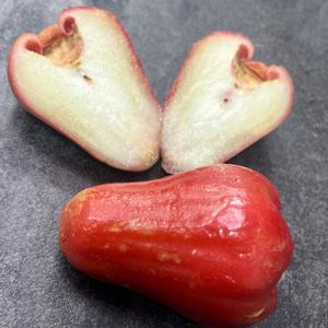 Яванское яблоко