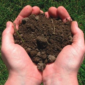 Почвогрунт (сертификат МЭР). Почвогрунт - это сбалансированный и богатый грунт на основе торфо-земельно-песчаной смеси. При изготовлении почвогрунта используется 60% низинного фрезерного торфа, 30% плодородной почвы и 10% крупнозернистого мытого карьерного песка.
