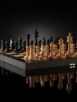 Шахматы WOODGAMES Модерн с клеткой 40 мм и с утяжеленными фигурами 40МСП-ФР2У