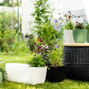 Горшки для дома и улицы