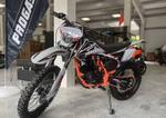 PROGASI Palms 300