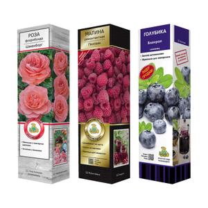 Растения в красочной упаковке