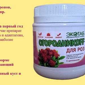 новый продукт для бутонов и обильного цветения