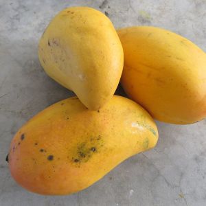 Манго Голд