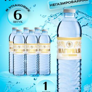 Вода &#34;Нагорная&#34;, природная минеральная, гидрокарбонатная магниево-кальциевая, объем 1,0  литра, бутылка ПЭТ, упаковка из 6 штук