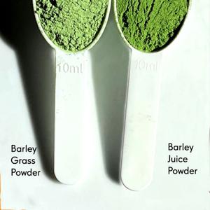 Barley Grass и Barley Juice
