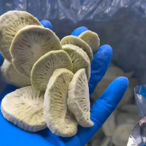 Сублимированный киви